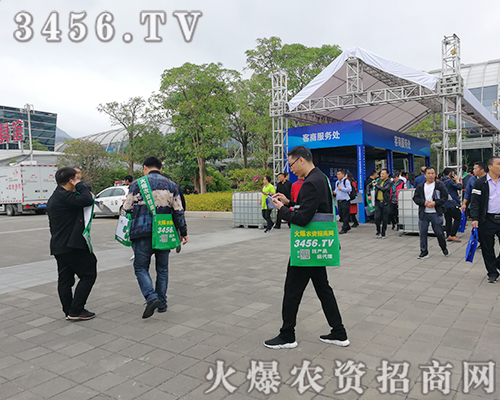 r(nng)YW(wng)־P(yng)鞢M2019ֲ(hu)