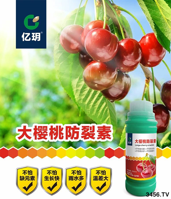 2020N10ҴsٍXF(xin)ڙXһãmϷNֲʲôطxδʩЩ