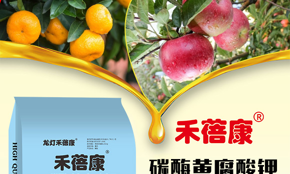 碳酶黃腐酸鉀-禾蓓康-龍燈 碳酶黃腐酸鉀-禾蓓康-龍燈