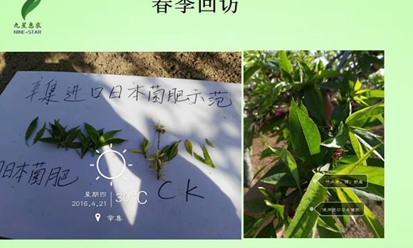 微生物土壤改良材-九星惠農(nóng) 微生物土壤改良材-九星惠農(nóng)