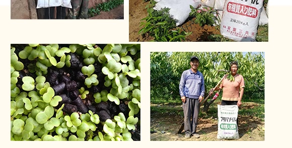 微生物土壤改良材-九星惠農(nóng) 微生物土壤改良材-九星惠農(nóng)