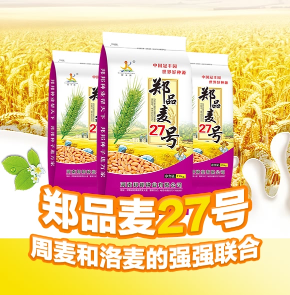 鄭品麥27號-小麥種子-邦邦種業(yè) 鄭品麥27號-小麥種子-邦邦種業(yè)
