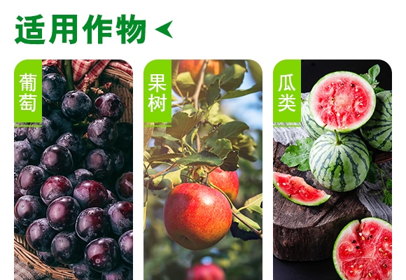 韭蒜地蛆-德瑞森 韭蒜地蛆-德瑞森