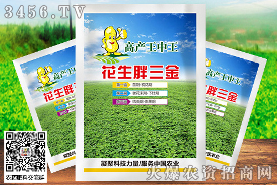 ˎʲôrcһˎgLrg