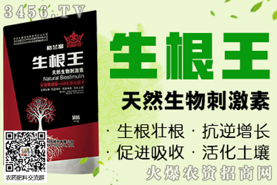 m˾I(yng)Щa(chn)Ʒ