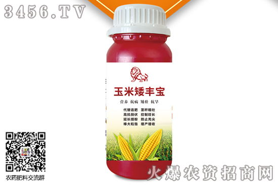 玉米大喇叭口期是幾葉一心 圖片 管理要點(diǎn) 玉米大喇叭口期是幾葉一心 圖片 管理要點(diǎn)