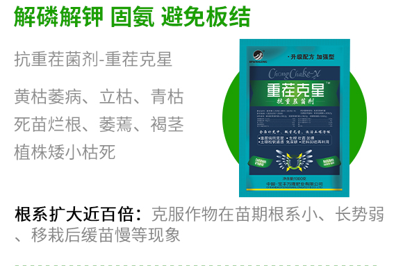 瀹濅赴涓囬殕鑲ヤ笟鏈夐檺鍏徃(閽劇敯瀹?_09.jpg 瀹濅赴涓囬殕鑲ヤ笟鏈夐檺鍏徃(閽劇敯瀹?_09.jpg