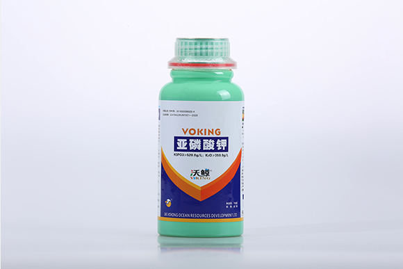 IMG_5252.jpg IMG_5252.jpg