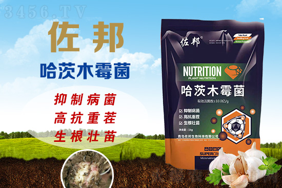 زpa(chn)20%ٲξľù߿ز