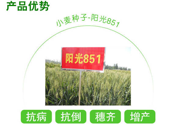 鎼滅嫍鎴浘22騫?5鏈?1鏃?658_2.png 鎼滅嫍鎴浘22騫?5鏈?1鏃?658_2.png