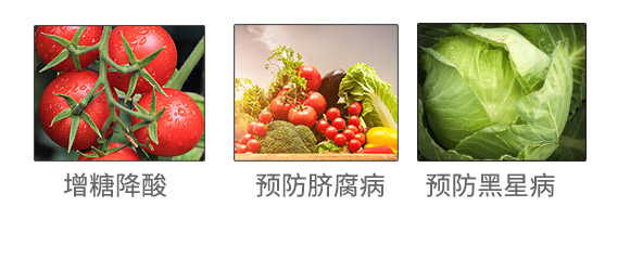 涔愰櫟甯?jìng)鍐滃崥澹尕滆偉鏈夐檺鍏徃_04.jpg 涔愰櫟甯?jìng)鍐滃崥澹尕滆偉鏈夐檺鍏徃_04.jpg