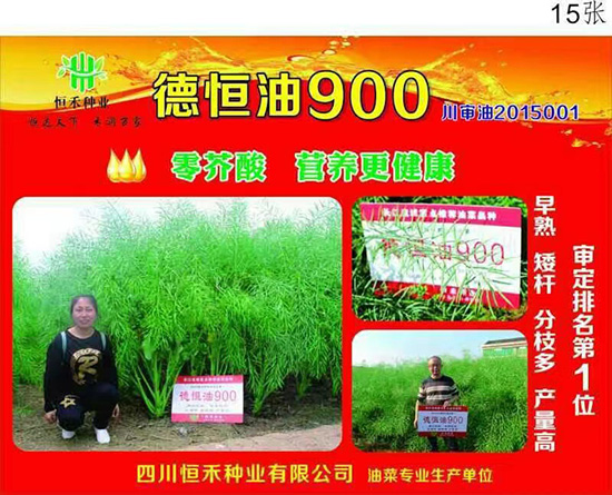 娌硅彍縐嶅瓙-寰鋒亽娌?00-鎭掔縐嶄笟2.jpg 娌硅彍縐嶅瓙-寰鋒亽娌?00-鎭掔縐嶄笟2.jpg