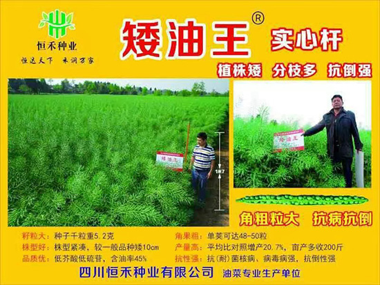 娌硅彍縐嶅瓙-鐭補鐜?紱忔補2鍙?-鎭掔縐嶄笟2.jpg 娌硅彍縐嶅瓙-鐭補鐜?紱忔補2鍙?-鎭掔縐嶄笟2.jpg