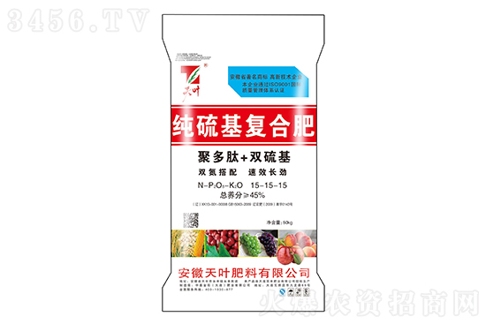 ՏͺϷʃrrһ[2023-2-20