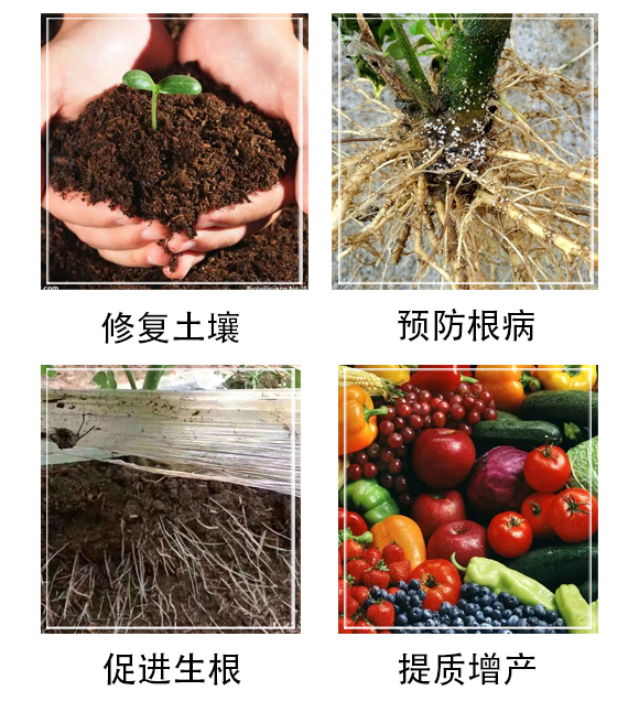 寰敓鐗╄弻鍓?涓ゅ崈浜?浜旇胺涓癬03.jpg 寰敓鐗╄弻鍓?涓ゅ崈浜?浜旇胺涓癬03.jpg