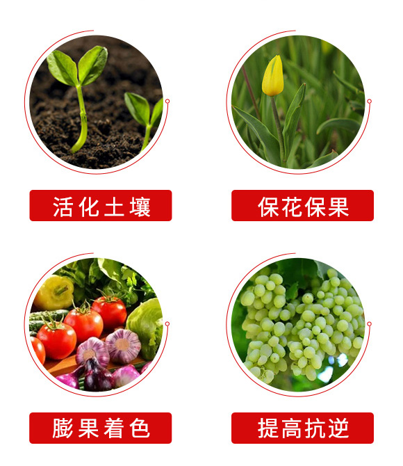 鍐滀笟鐢ㄩ捑鑲?鍐滆祫闆嗗洟_05.jpg 鍐滀笟鐢ㄩ捑鑲?鍐滆祫闆嗗洟_05.jpg