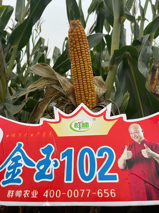 閲戠帀1026.jpg 閲戠帀1026.jpg