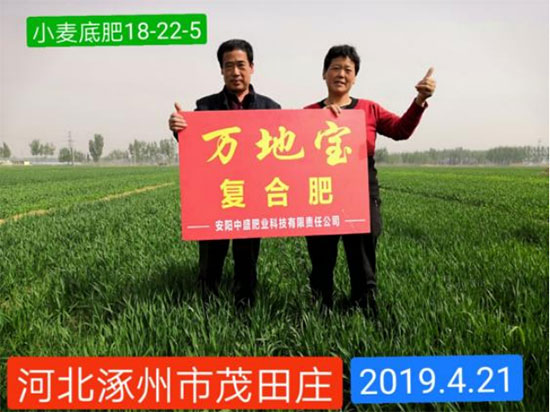 鏈爣棰?2.jpg 鏈爣棰?2.jpg