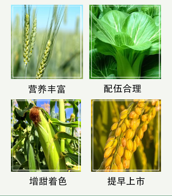 澶ч噺鍏冪礌姘存憾鑲ユ枡-钀冨彲澶歘05.jpg 澶ч噺鍏冪礌姘存憾鑲ユ枡-钀冨彲澶歘05.jpg