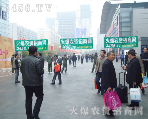 F(tun)Y(ji)f(xi)eO