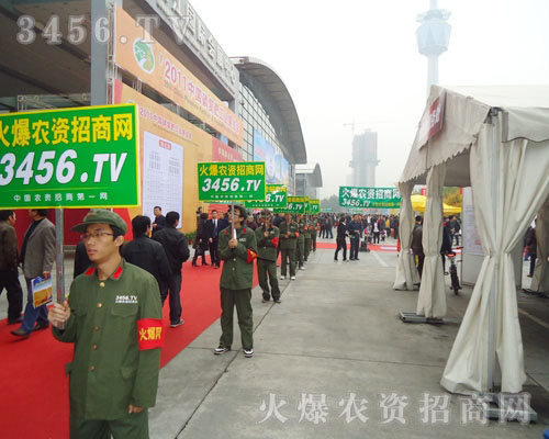 𱬾W(wng)ď(qing)_̤