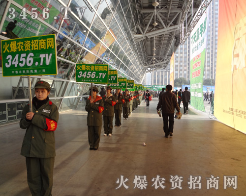 𱬈F(tun)꠾ǿ@NԳֲȥ