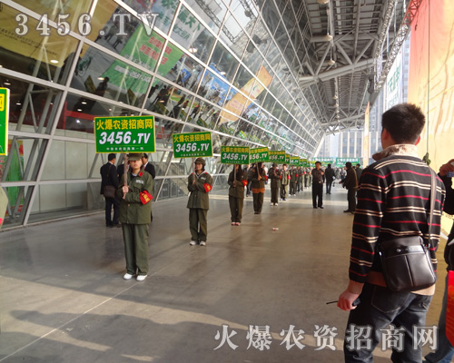 𱬈Fꠌ(zhn)һӣȫԸԳֲи