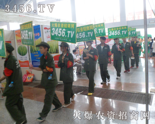 𱬾Gɫ܊b(zhn)ʿ~ԶĲ̤