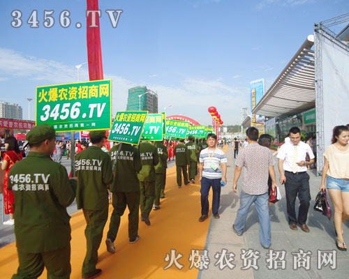 137.12½r(nng)ʢeʬF(xin)һɟ[ľ