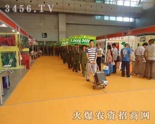 _вǰM(jn)Ì(sh)չʾ