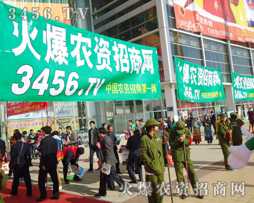 𱬾W(wng)һ֧ܸƴľӢF(tun)