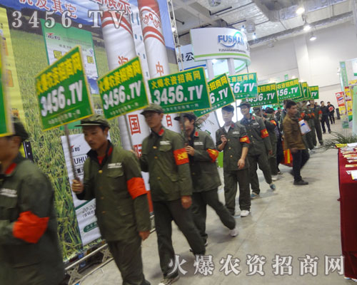 ɽ|ֲ(hu)Ä(sh)(qing)׌