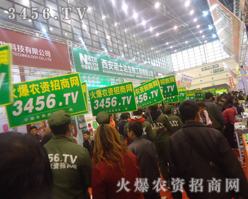 rYW(wng)~µF(xin)µͻ