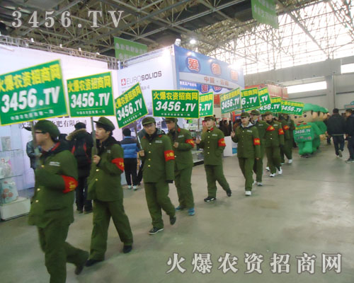 ӱֲ(hu)ϵ̎Ҋ(jin)r(nng)Y̾W(wng)ľGɫ܊F(tun)Ӱ