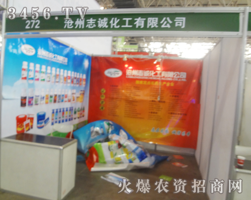 ־\΢Цӭ2013ӱֲ