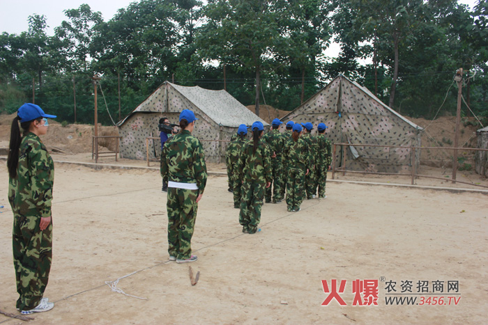 牧羊犬環(huán)節(jié)中