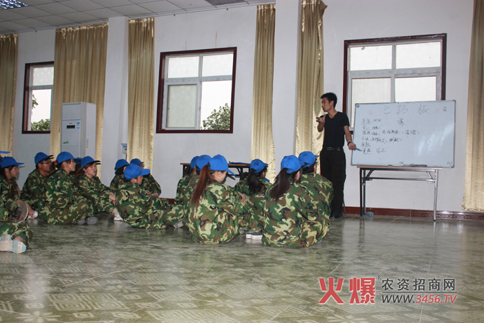 七巧板項(xiàng)目培訓(xùn)