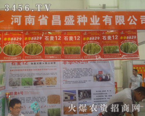 ʢNI(y)2013ݷNӕ(hu)ϏUʳ