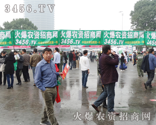 ӭϼϼr(nng)Y̾W(wng)Գֵ