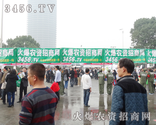 2013׏ͷʕh𱬾W(wng)˂ĺ