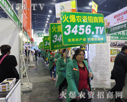 (jin)ֲи(jin)׌r(nng)Y̾W(wng)