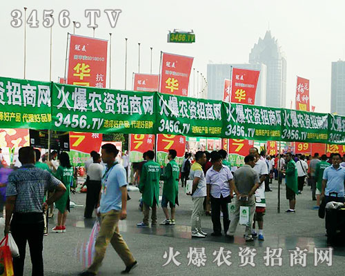 r(nng)Y̾W(wng)𺳳ϯ2016ϷNӕ