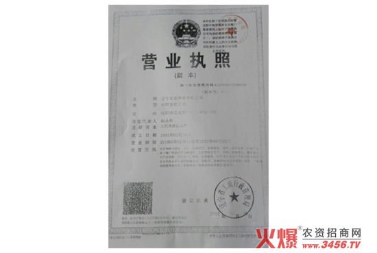 玉雜交種-東單98-好莊稼