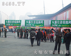 𱬈F(tun)(du)ڕŝMM