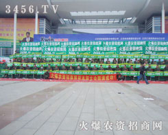 r(nng)Y̾W(wng)҂@