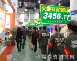 չʾ𱬑(zhn)ʿL(fng)ɣ׌ഺY(ji)۴T