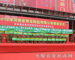 (ni)̎̎ʬF(xin)𱬬F(xin)