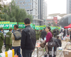 \ʯ_¿಻۵Ļ𱬈F