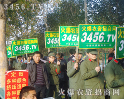 L(fng)˝(j)溣ieL(zhng)씈