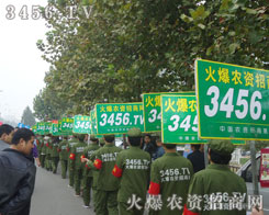 ˕r˿𱬈Fٴ(zhn)ڕ